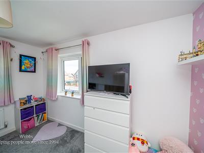 Picture 19